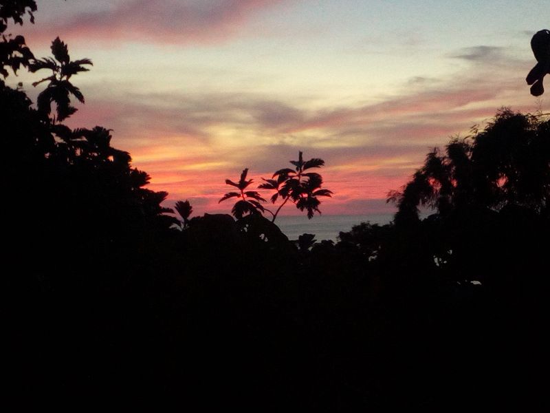 Sleepwaking & dozing w/ Gascón