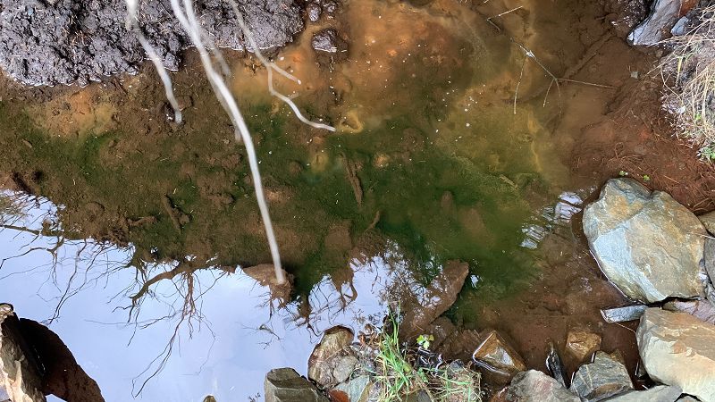 SHAPE SHIFTERS W/ WINDLASS KIBBLE