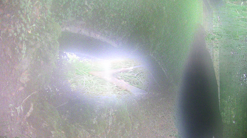 ꧁✬◦°˚°◦.ₘₑₜₐₘₒᵣₚₕₒₛᵢₛ .◦°˚°◦✬꧂ w/ pemzzi