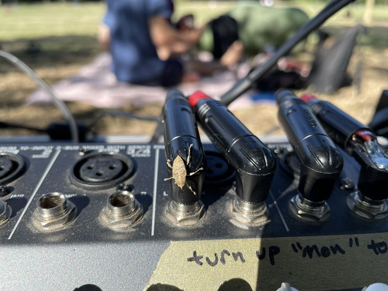 Sacred Pools w/ FASO