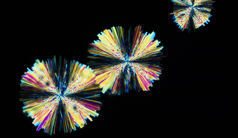 Circle Packing w/ Occo