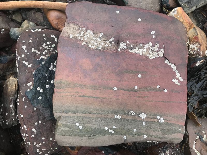 Phil's Jazz Dis-Junction