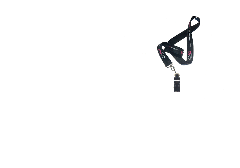 CDMX Tapes w/ Paul Marmota & Soda Plains 