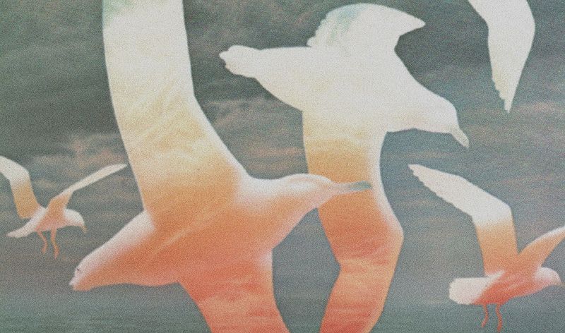 Aloha Got Soul Presents: Home Grown