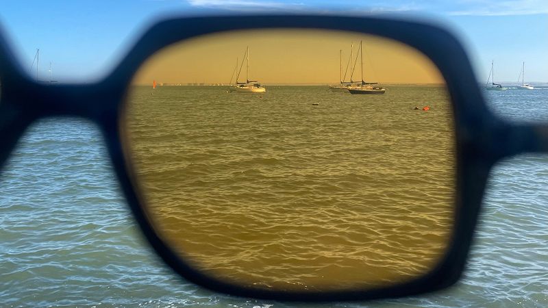 a joyous day w/ stan lodge