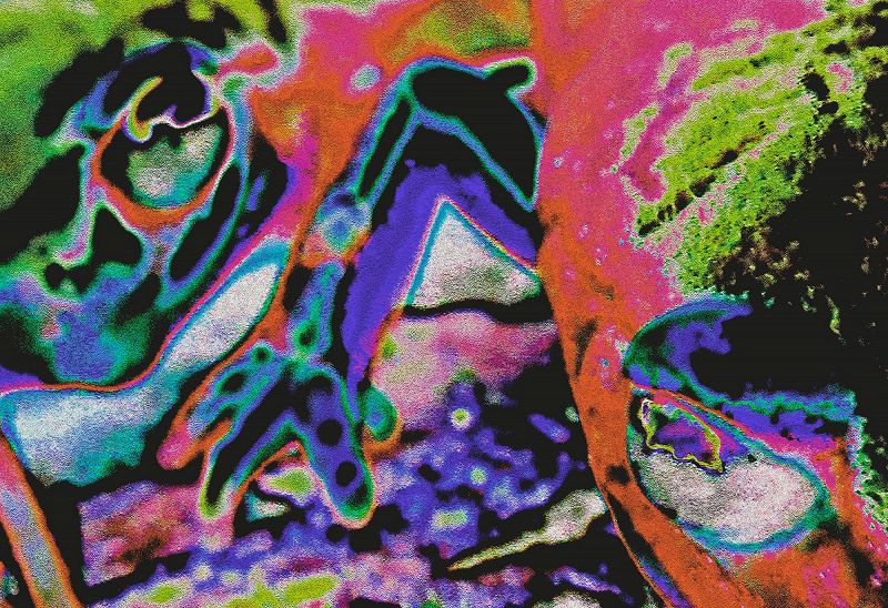 Shadow Dance w/ Salamanda