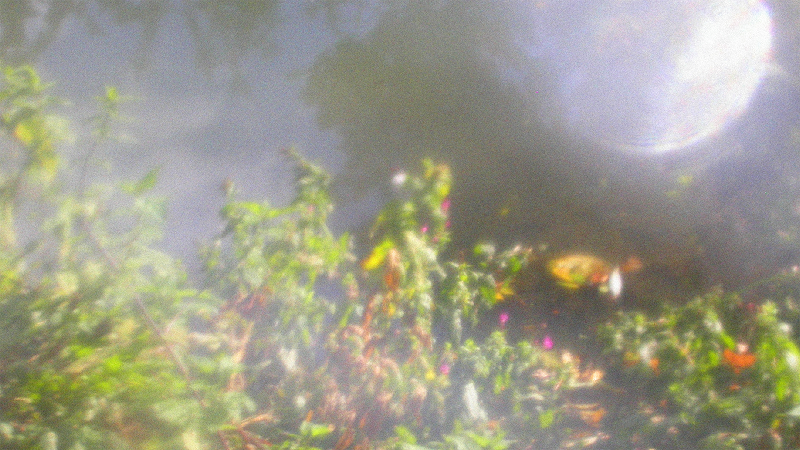 Memory Balsam w/ palewater