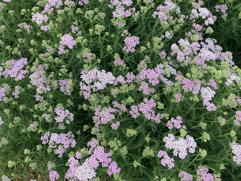 A Month of Sundays w/ Bill Spencer