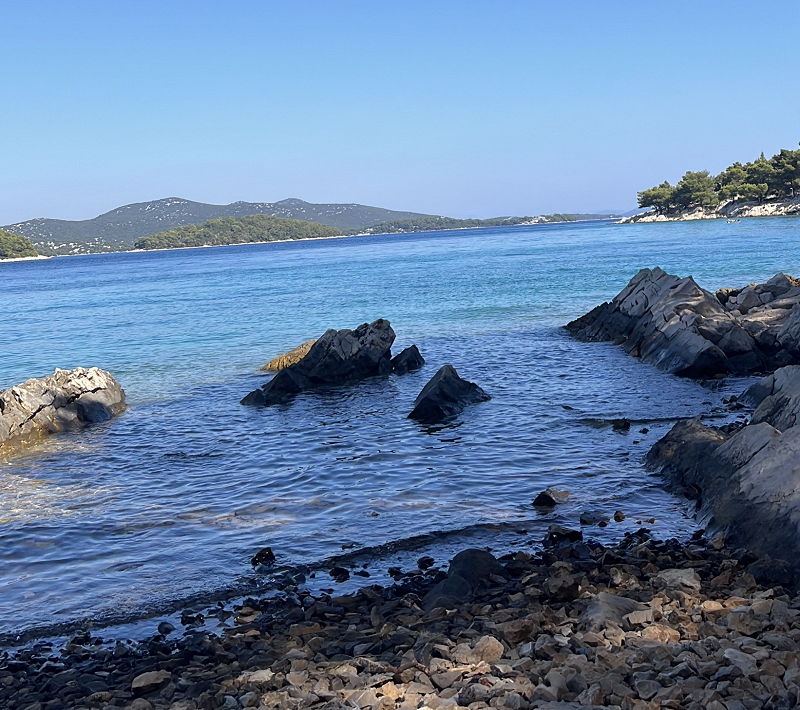 A Long Strange Dream w/ Batu