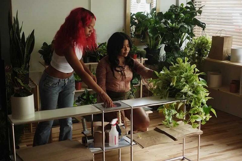 dreamcastmoe w/ Grounded