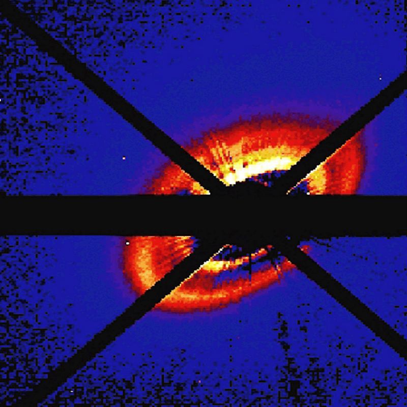 Pender Street Steppers w/ PLO Man & roadkill