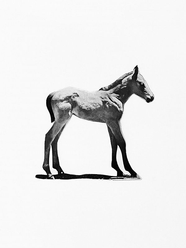 Machines of Loving Grace w/ Midwife