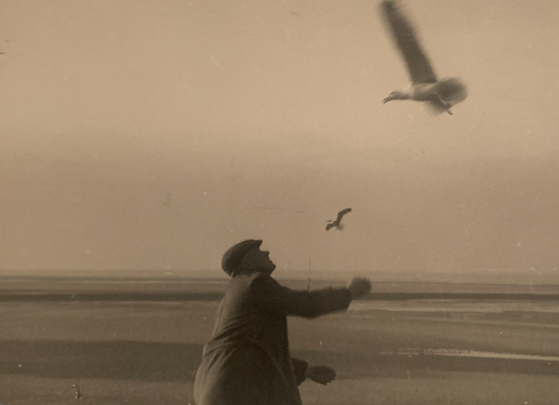 Corticeps 042 w/ Minus Kendal