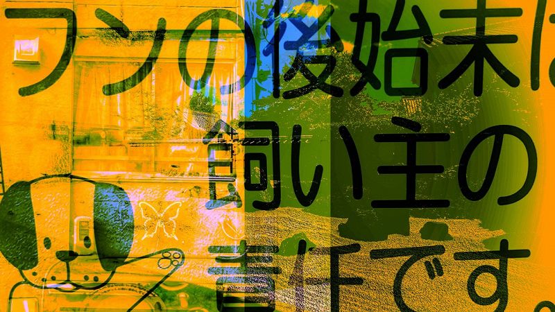 kyoto sanpo ~ 京都さんぽ