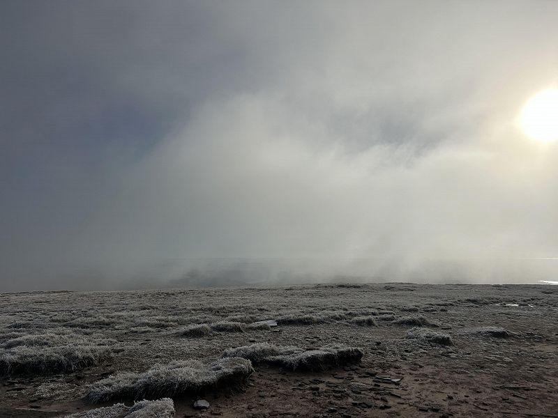 The Early Bird Show w/ THEA HD