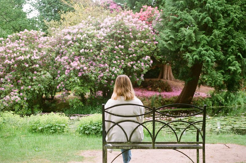 For Lovers & Rockers