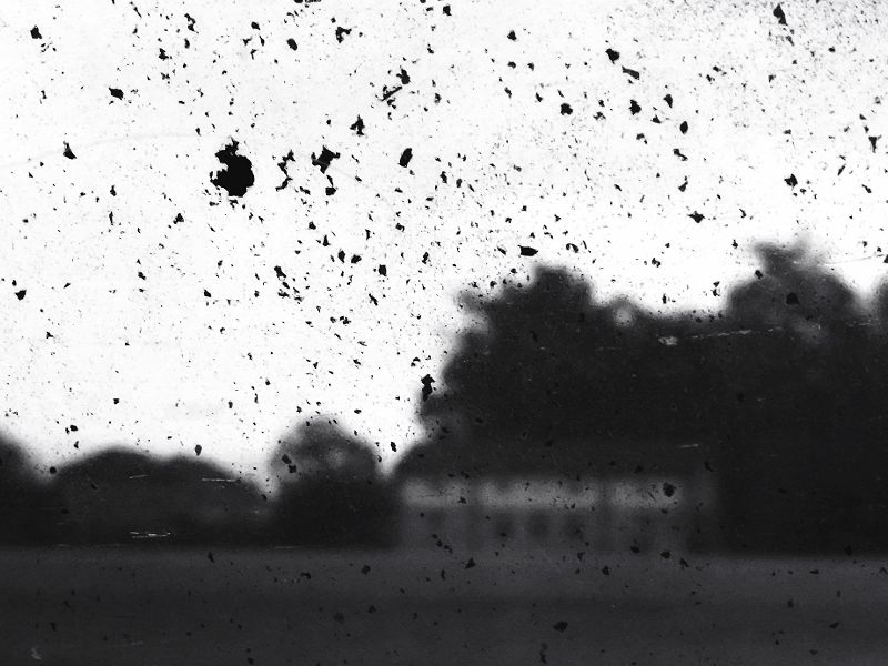 Promenade dans les rêves W/ Nocturnal Phase