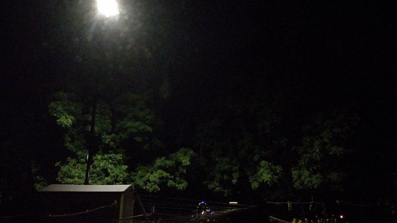 DEEP DREAMS W/ SQUARE TOAST