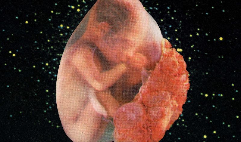 Machines of Loving Grace w/ Midwife