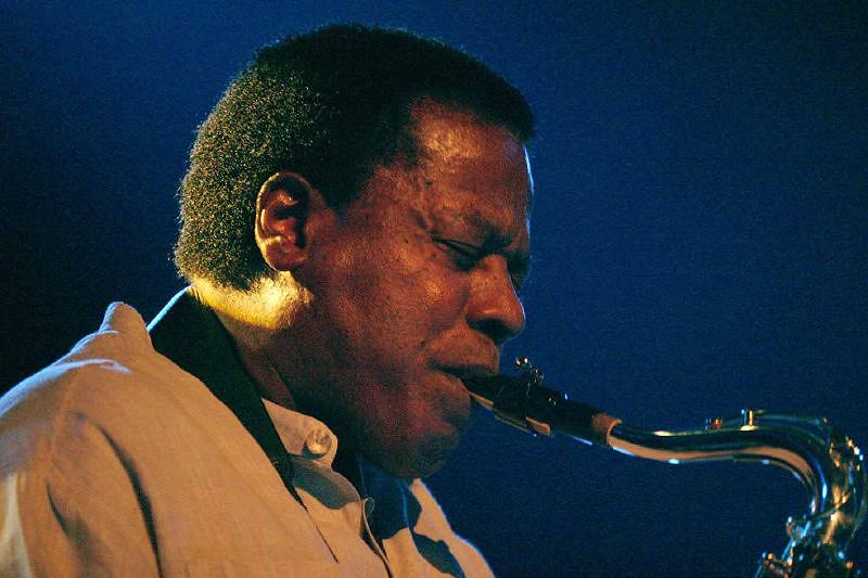 The Head Zone w/ Ripley Johnson