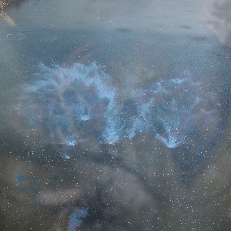 IKR. IMPRINT + SLEEPSANG