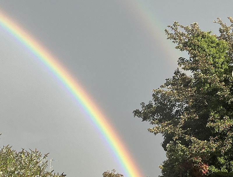 The Early Bird Show w/ Spirit Blue