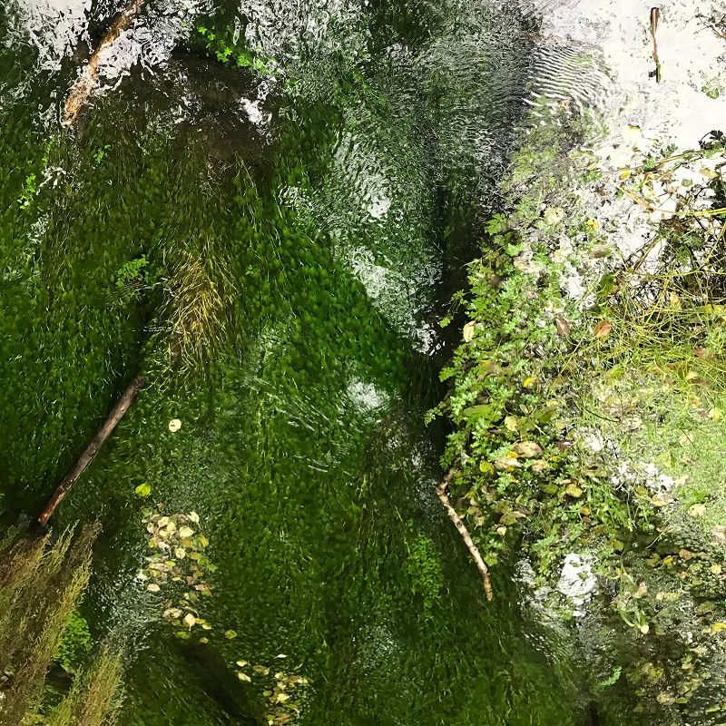 A Month of Sundays w/ Bill Spencer