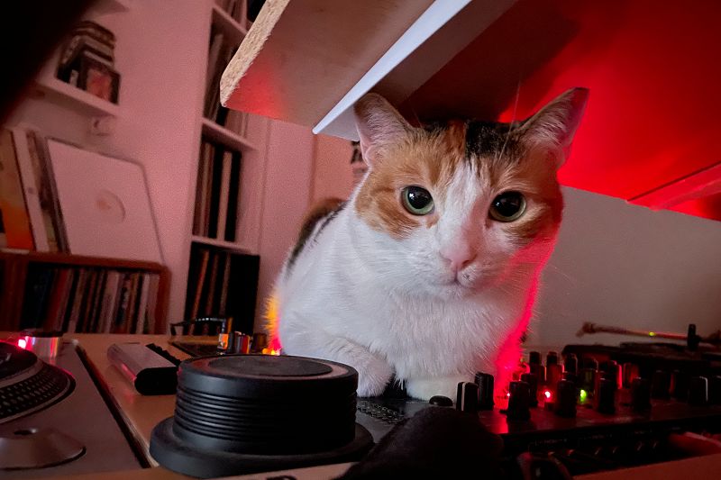 Sacred Pools w/ Faso