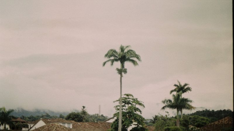 Image Search - Rioplatense Music Special