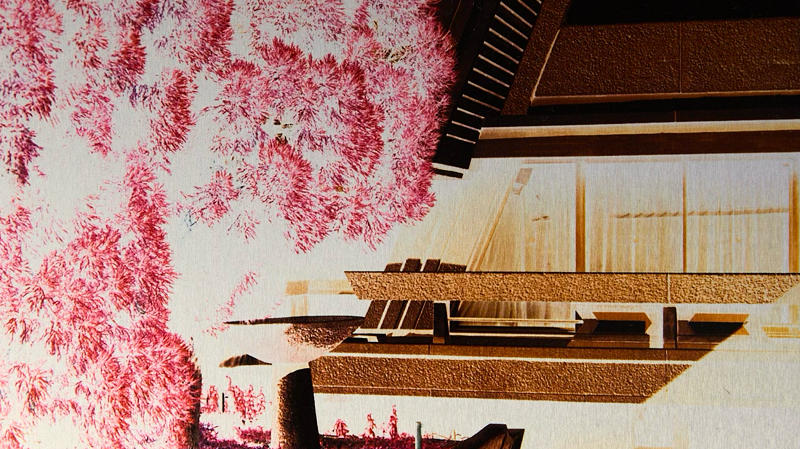 The Early Bird Show w/ PAM & Tom de Peyret