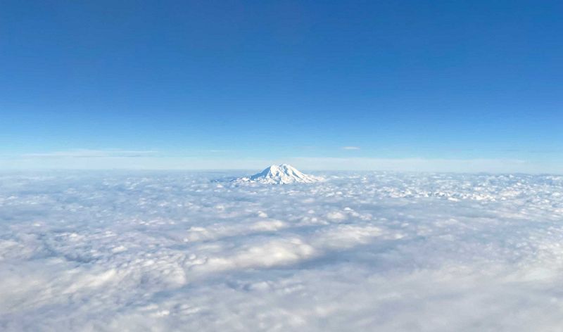 The Head Zone w/ Ripley Johnson