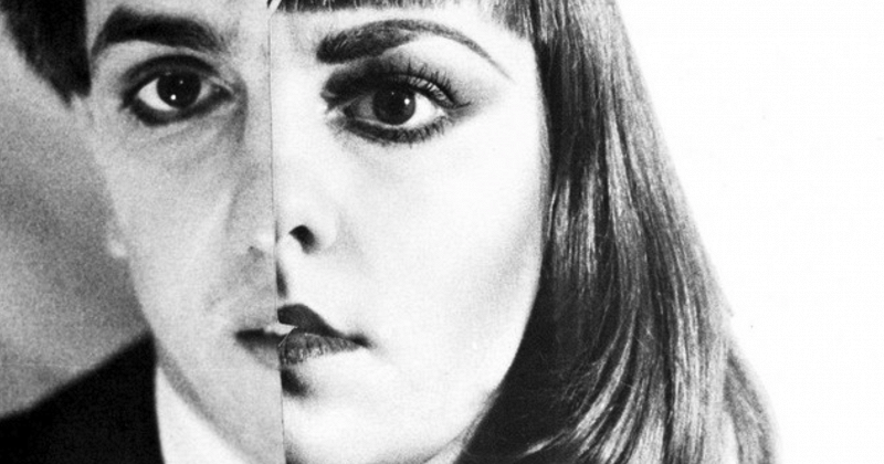 In Focus: Algebra Suicide