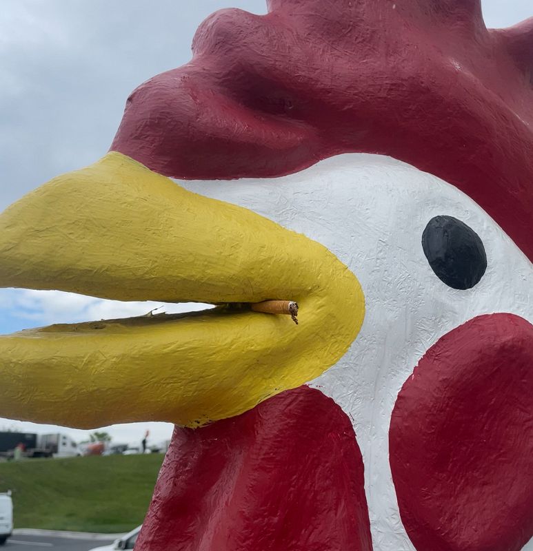 Beautiful Swimmers: Live @ Public Records