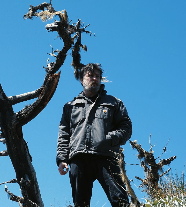 Six Organs Of Admittance