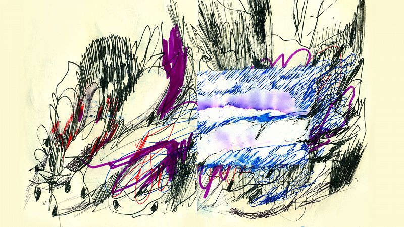 THE WONDER CABINET w/ Hatem Imam