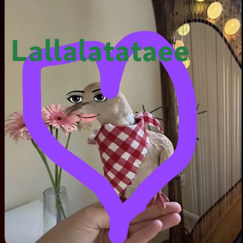 Wait Watch This w/ Jane Remover