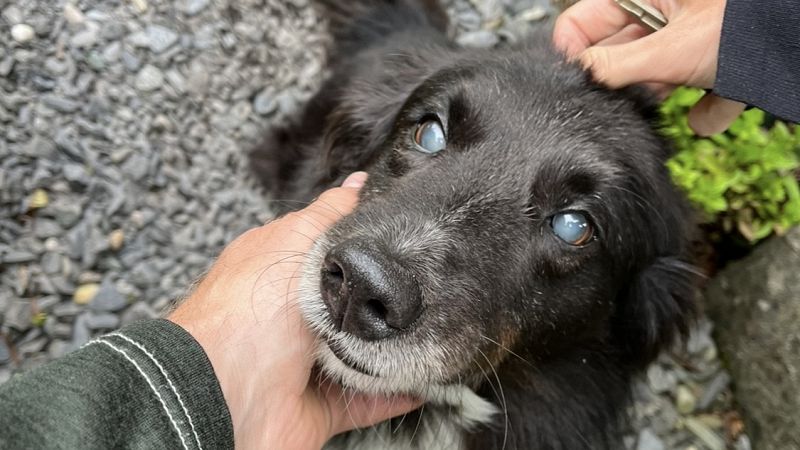 The Early Bird Show w/ Maria Somerville & Brad Urman