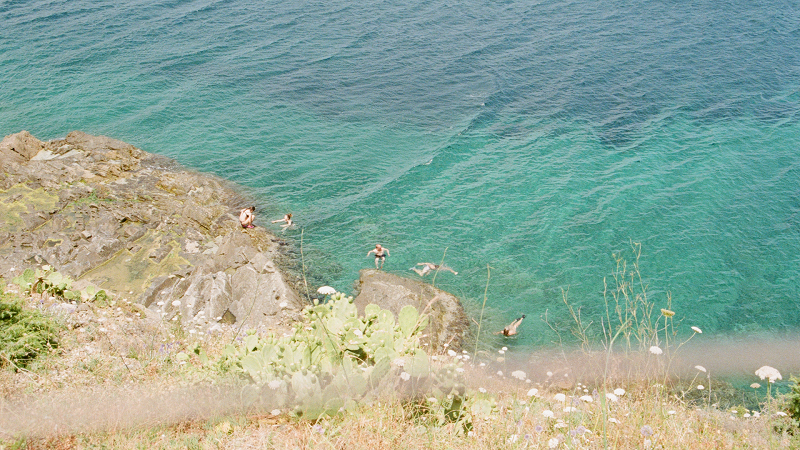 Image Search - Summer Day Mix