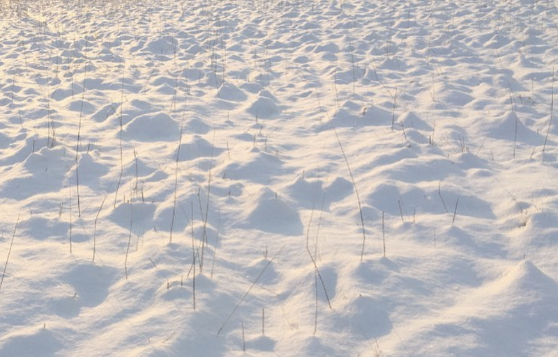 Tommasi - Christmas Special