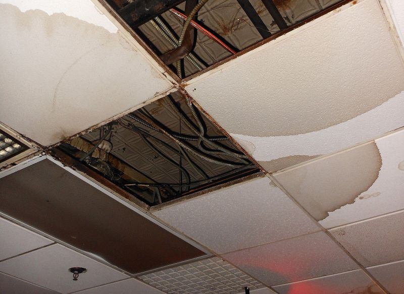 BFDM ZAHEF SHOW w/ CLUB NIGHT CLUB