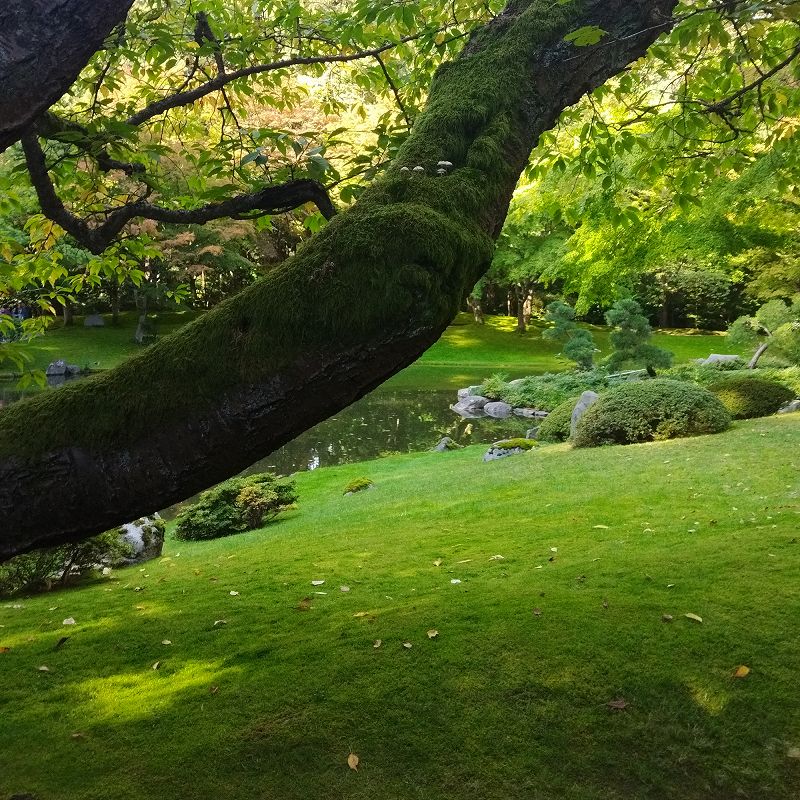 Prosumer w/ Denny Voltage