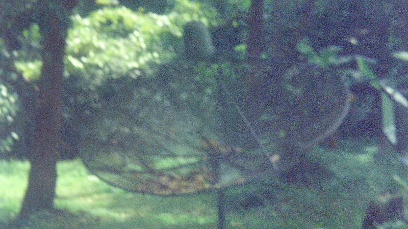 Prophetic Justice Ministry