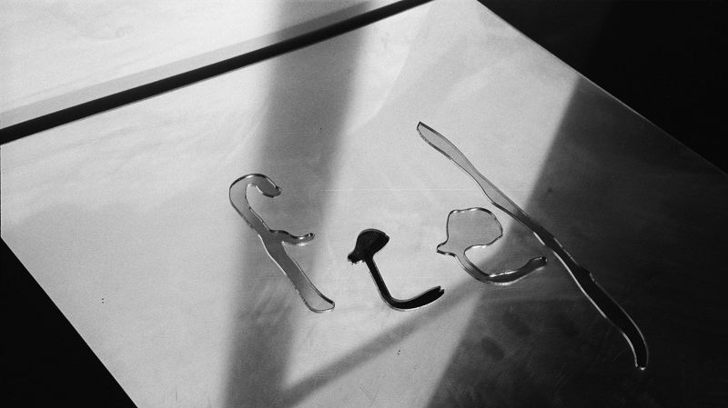 Felisha Ledesma w/ Noa Kurzweil 