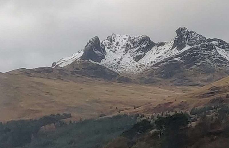 The Early Bird Show w/ Maria Somerville & Amy Krawczyk