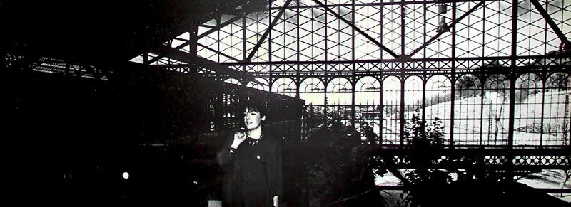 Image Search - Piano Special