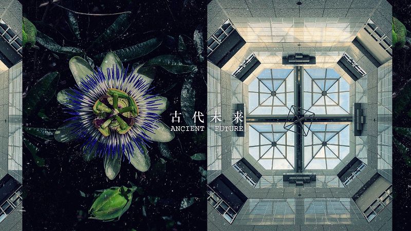 VINYLMIX 古代未来 - ANCIENT FUTURE W/ KEI 敬