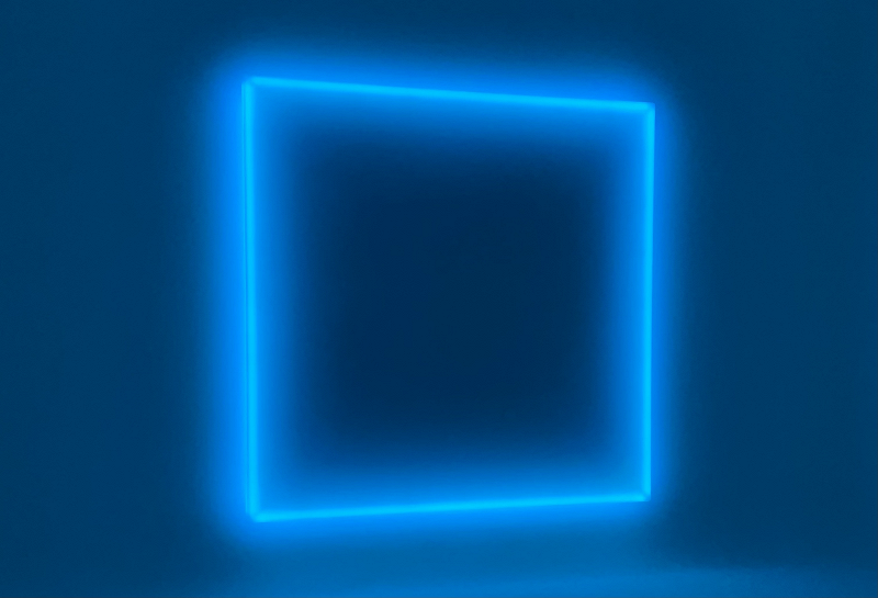 metamorphosis w/ running violets