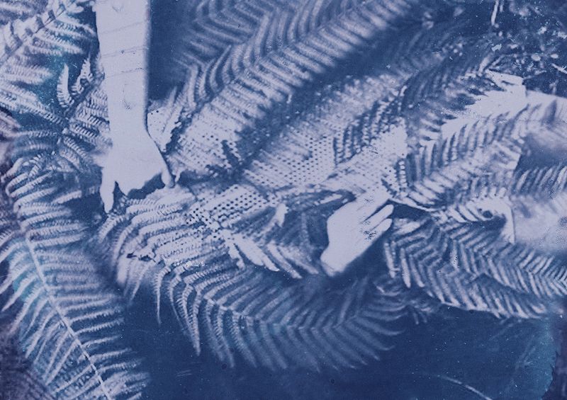 Sofie Birch - Jardin Bleu