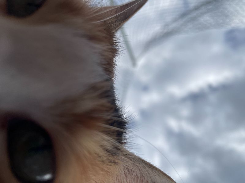 Sacred Pools w/ Faso