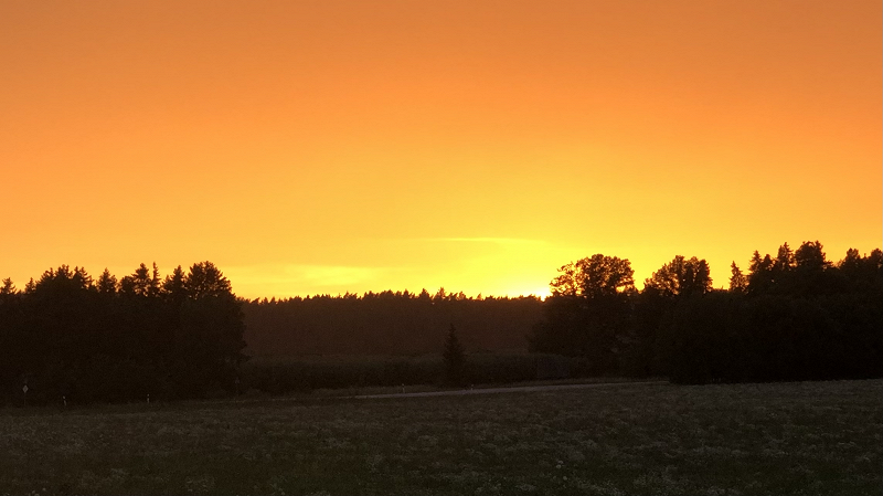 IT'S STRANGE AND MAKES YOU WONDER 